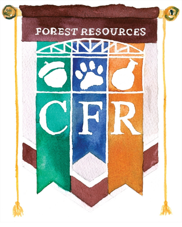cfr_flag_cc