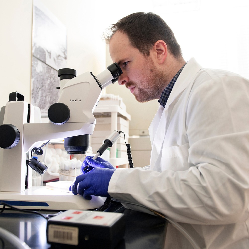 Faculty Research